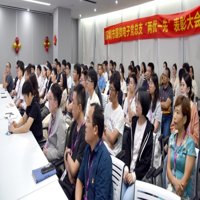 同“芯”向黨，榜樣領航——國微電子黨總支“兩優一先”表彰大會